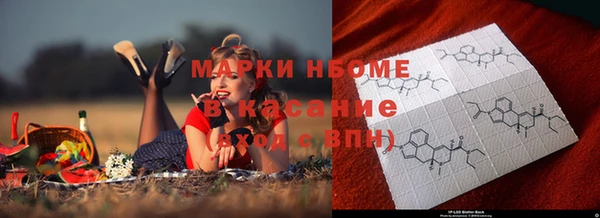 СК Бронницы