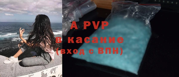 СК Бронницы