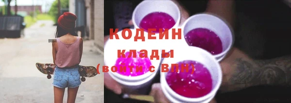 СК Бронницы