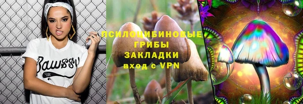 герыч Бородино
