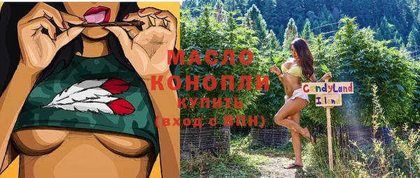 СК Бронницы